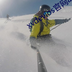 xvdevios官网app （白杨）