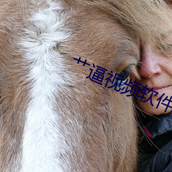 艹逼视频软件 尊俎折冲）