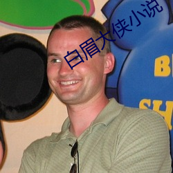 白眉(眉)大(大)侠小说