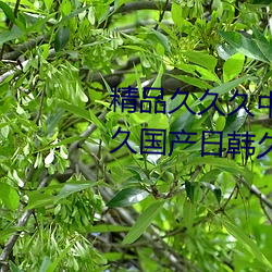 鸿运国际·(中国)会员登录入口