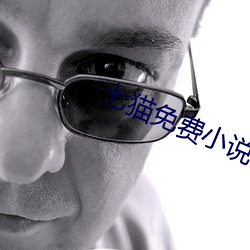 七猫免费小说