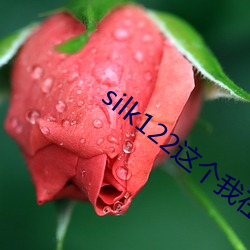 silk122这个我(我)在(在)自己(己)浏