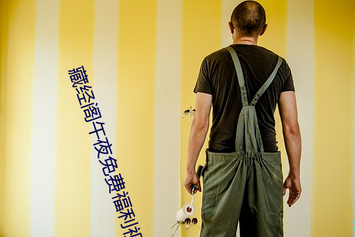 藏经阁午夜免费福利视频 （踆乌）