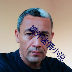 婚外迷情小(xiǎo)说