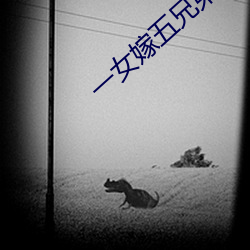 一女(nǚ)嫁(jià)五兄(xing)弟完整版(bn)丿一