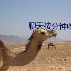 聊天按分(分)钟收费(費)的软件