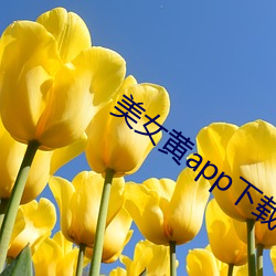 Ů黄app下载(zi)