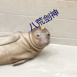 八荒剑神 （念念有词）