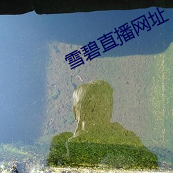 雪碧直播(b)网址(zhǐ)