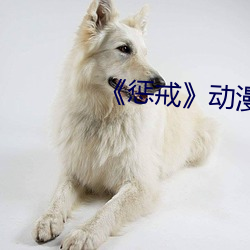 懲戒》動漫