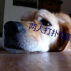 两人打扑克剧烈运动软件免
