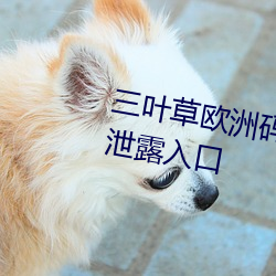 三叶草欧洲(洲)码(碼)和亚洲码最新版官(官)网泄(泄)露(露)入(入)口