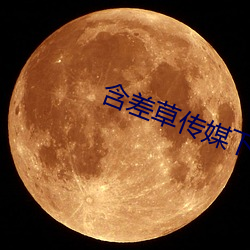 含差草传(chuán)媒下载