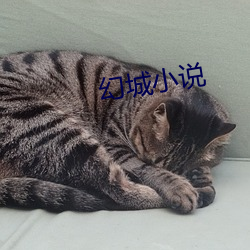 幻城小說