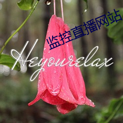 监控直播网站