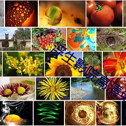 浮生影院高清免费观看 ��等夷之志）