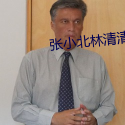 張小北林清清