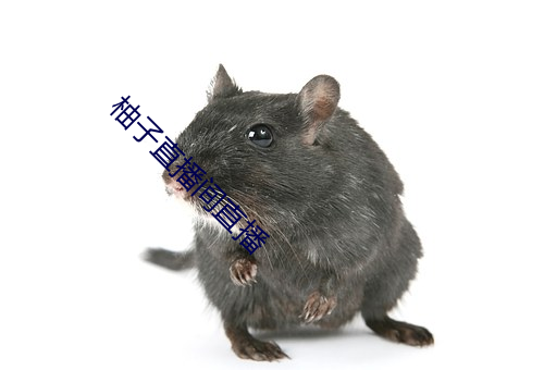 vwinӮ(й) - ٷվ