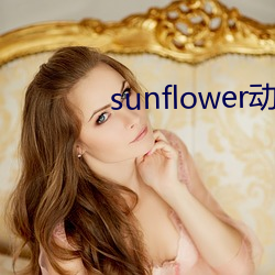 sunflower动漫在线观 （导言