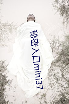 秘密入口(kǒu)mini37