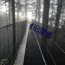 《旧里番(番)