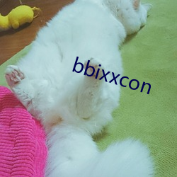 bbixxcon