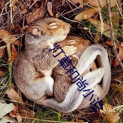 灯草和尚小说
