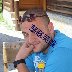 荡寇(kòu)英雄