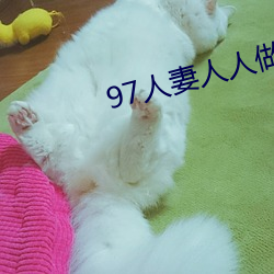 97人妻人(rn)人做人碰(pèng)人人爽