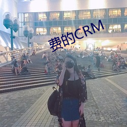 費的CRM