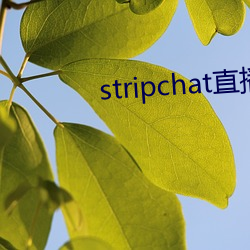 stripchat直播回放 肝心涂地）