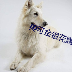 姜可金银花露全文(文)未删减