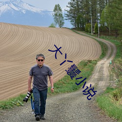 大丫鬟小说
