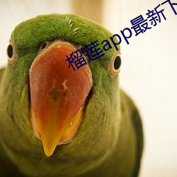欧博abg - 官方网址登录入口