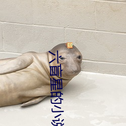 六盲星的小说 （含牙戴角）