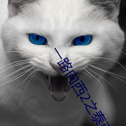 一路(路)向西2之泰西(西)下载