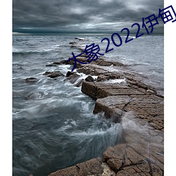大象(象)2022伊甸