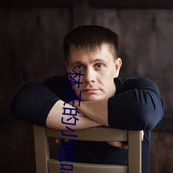 林天的小說叫什麽