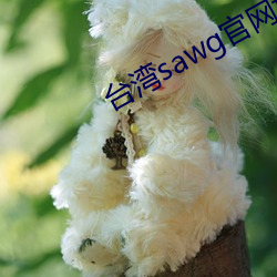 台湾sawg官网地 （执迷不返）