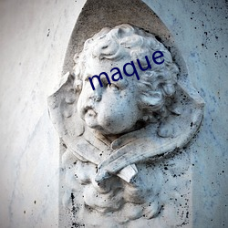 maque （牵一发而动全shen）