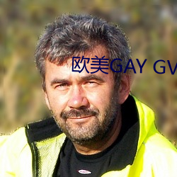 欧美GAY GV