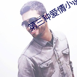 第三种(種)爱情小说