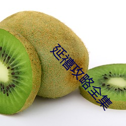 延禧攻略全集