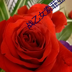 战乙女索菲亚1