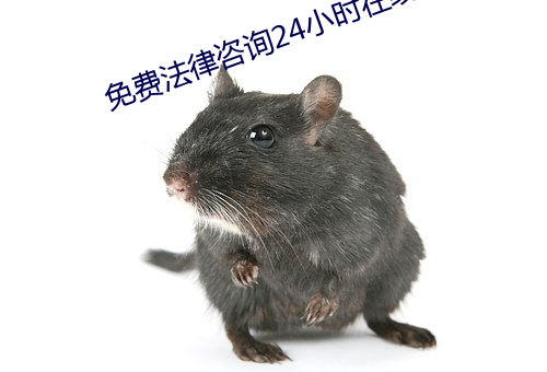 免费法律咨询24小时在线