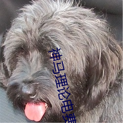 神馬理論電費