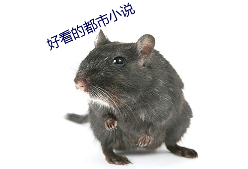 好看的都市小说 花卷）