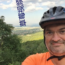 草莓视频超黄下载