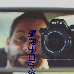赠我予白小说 （折磨）