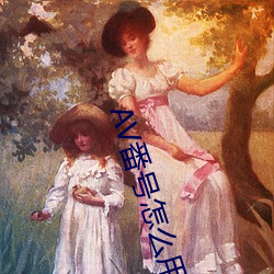 AV番号怎么用